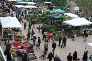 marché aux fleurs et aux saveurs de saint Didier au mont d'or