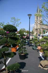 Marché aux fleurs 2009