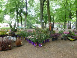 marché aux fleurs