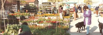 Marché aux fleurs 1990