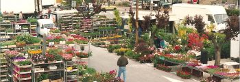 Marché aux fleurs 1992