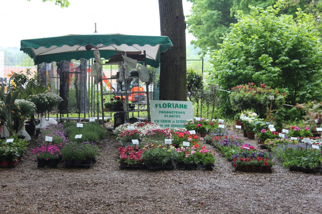 Marché aux fleurs 2015