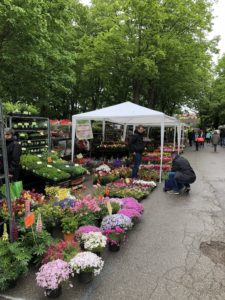 le marché